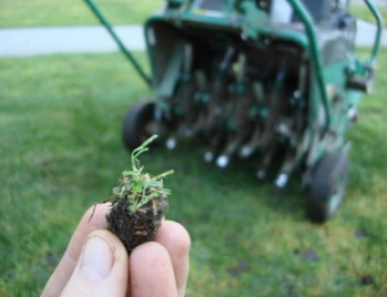 hand holding soil sample