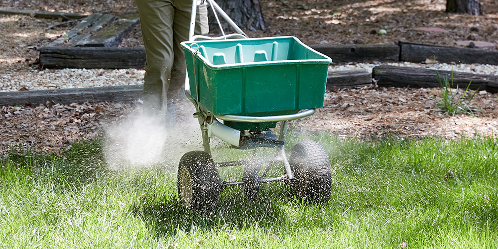 Lime applied to lawn