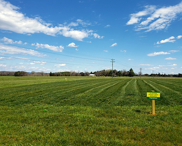 Seed rate testing results on a farm