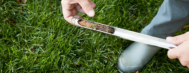 Soil sample being taken from the ground