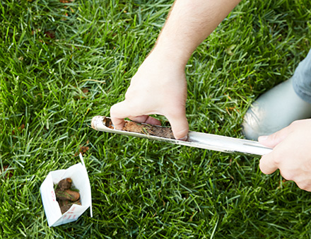 Soil sample being taken from the ground