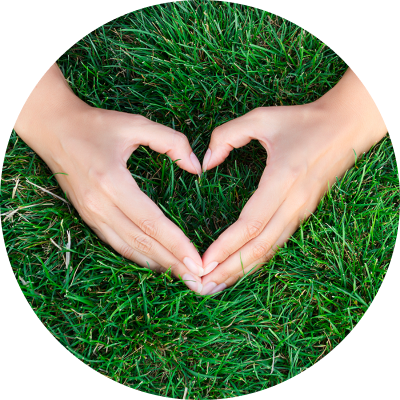 hands make heart shape on grass