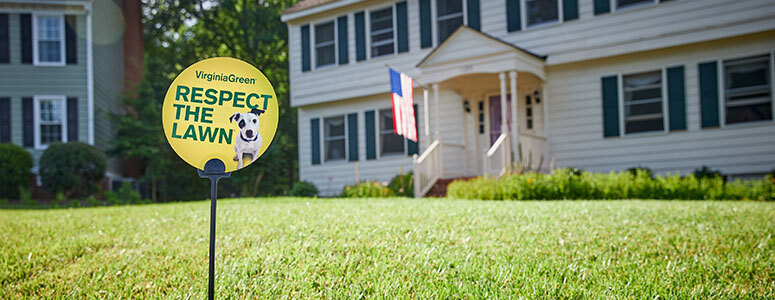 lawn with house in background