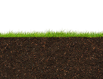 Soil Cross Section