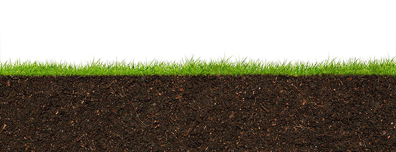 Soil Cross Section