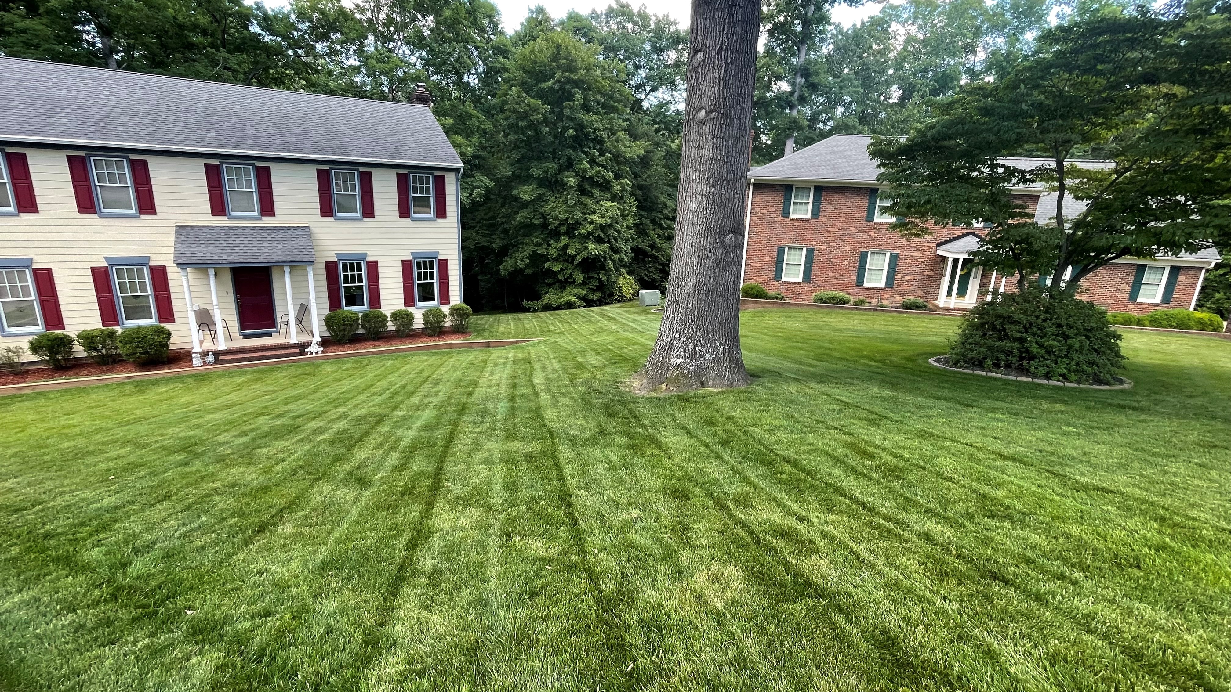 May 2024 Combined Lawns of the Month in Chester