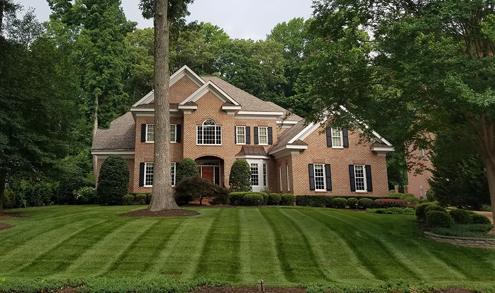 May 2024 Lawn of the Month Winner in Williamsburg
