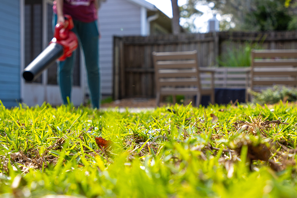 Leaf Blowing