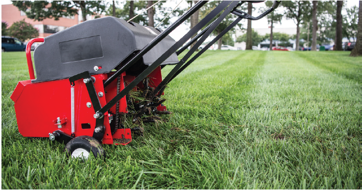 aeration machine in the fall time